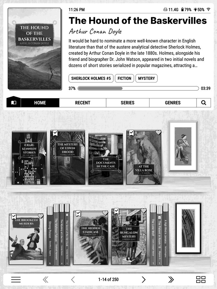 Black and white e-ink (a close simulation).